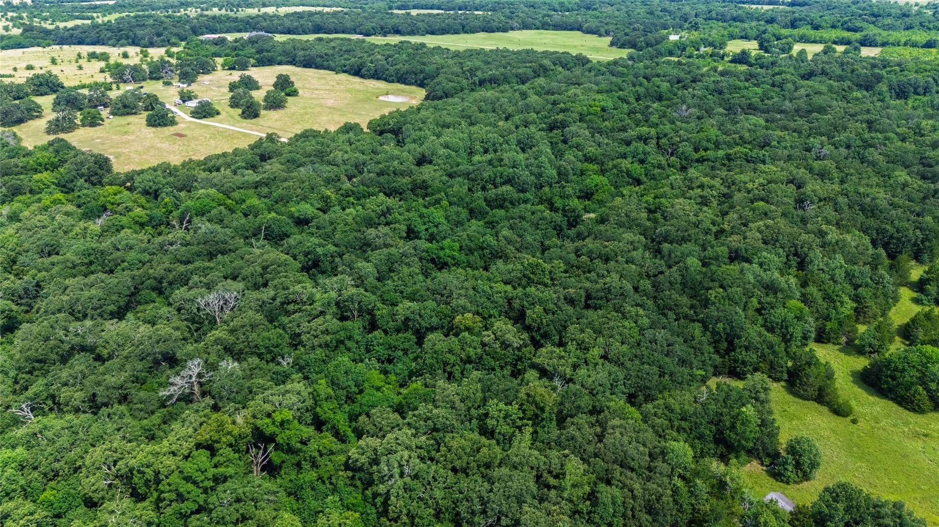 7.56 acres in Hopkins County - photo 6