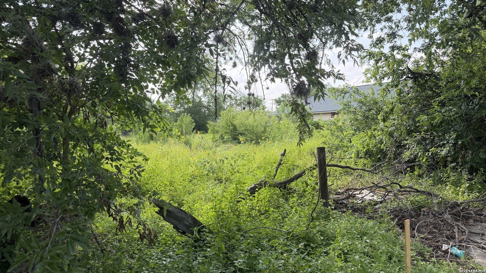 0.1 acres in Bexar County gallery image 2