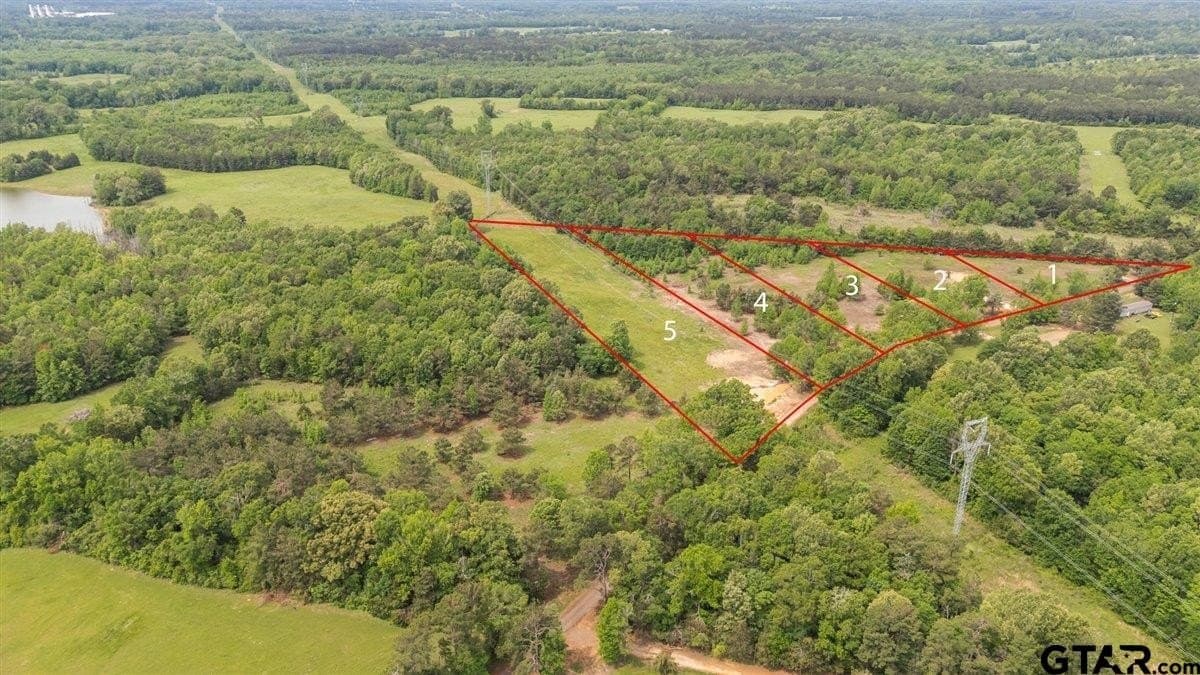 1 acres in Panola County gallery image 3