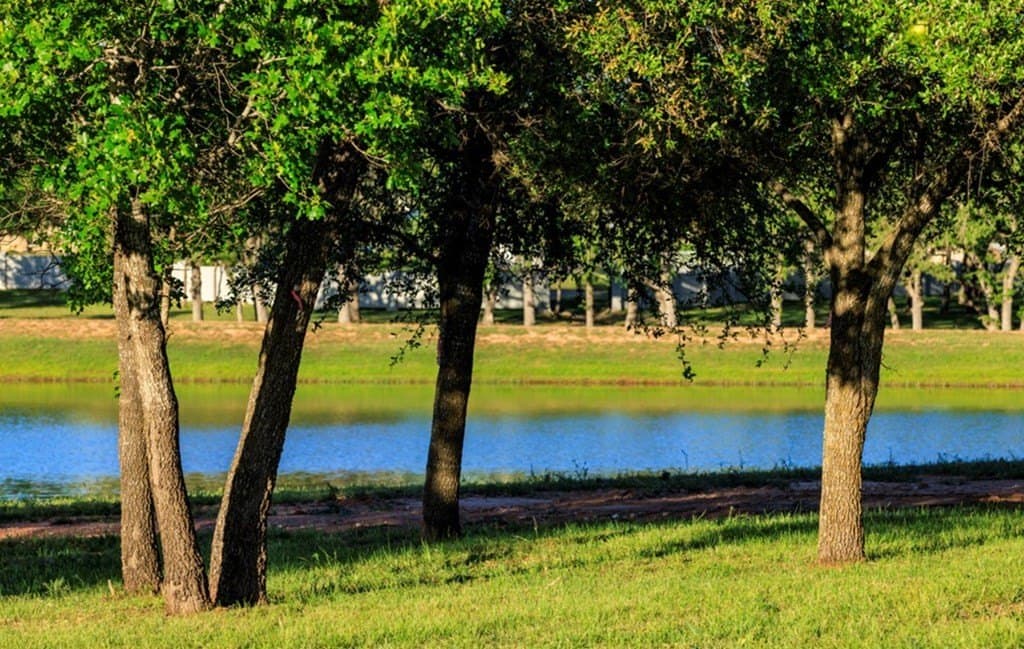 0.32 acres in Gillespie County - photo 9
