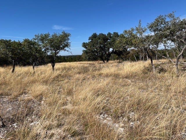 10.02 acres in Gillespie County gallery image 3