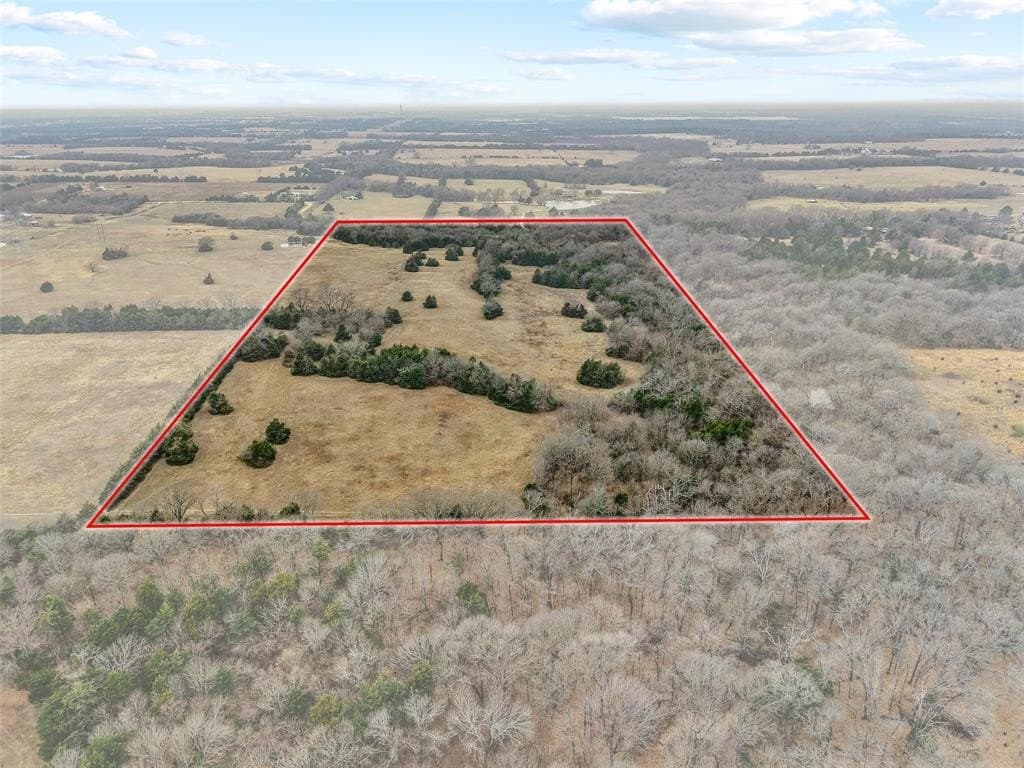 37.75 acres in Fannin County gallery image 4