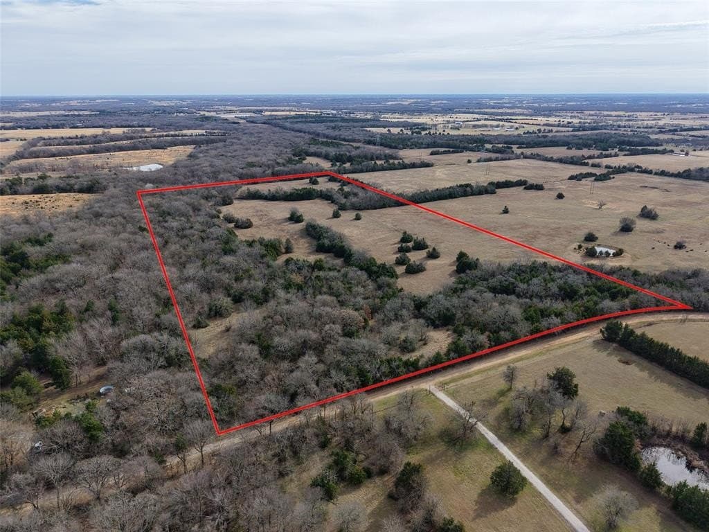 37.75 acres in Fannin County gallery image 2