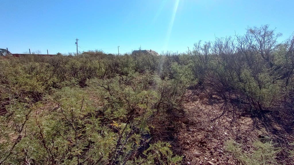 0.44 acres in Jeff Davis County - photo 6