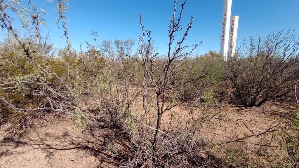 0.44 acres in Jeff Davis County - photo 4