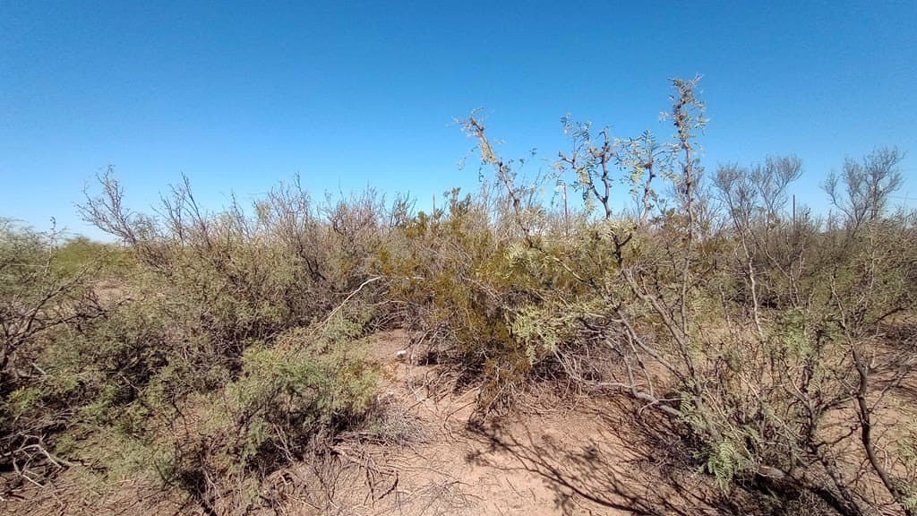 0.44 acres in Jeff Davis County - photo 7