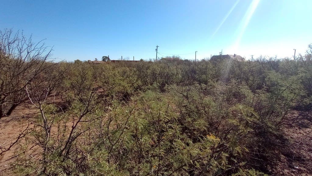 0.44 acres in Jeff Davis County - photo 5