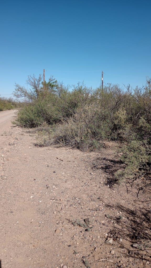 0.44 acres in Jeff Davis County - photo 8