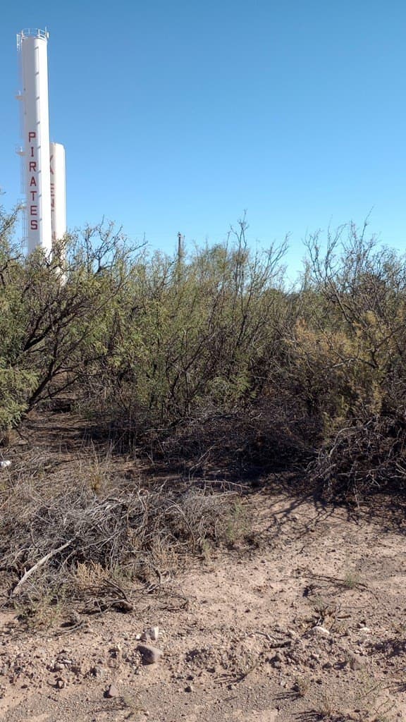0.44 acres in Jeff Davis County - photo 3