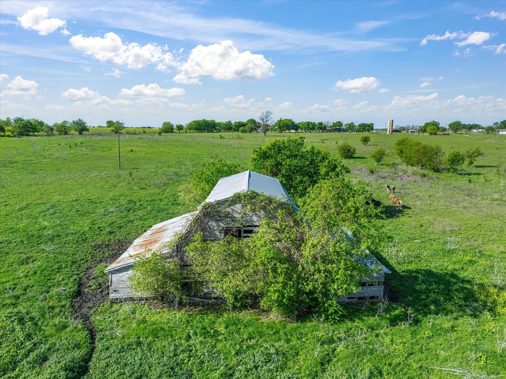 17.92 acres in Ellis County - photo 16