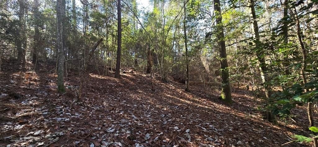 0.39 acres in Texas County