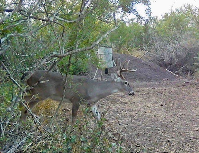 1.5 acres in Live Oak County - photo 22