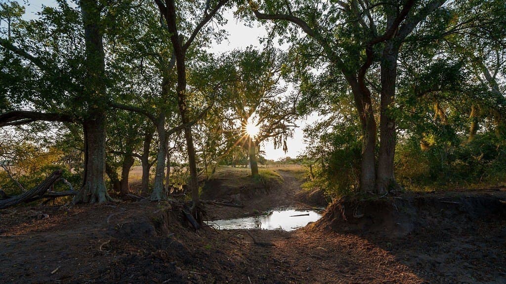 57.49 acres in DeWitt County - photo 25