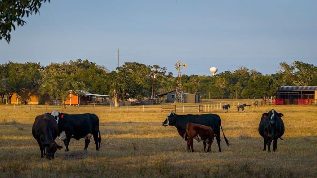 57.49 acres in DeWitt County - photo 4