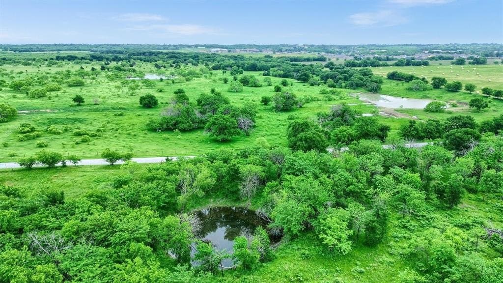 51.23 acres in Grayson County gallery image 4