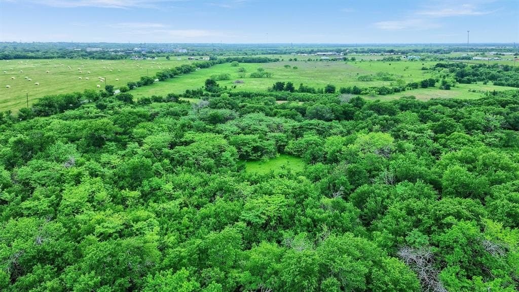 51.23 acres in Grayson County gallery image 3