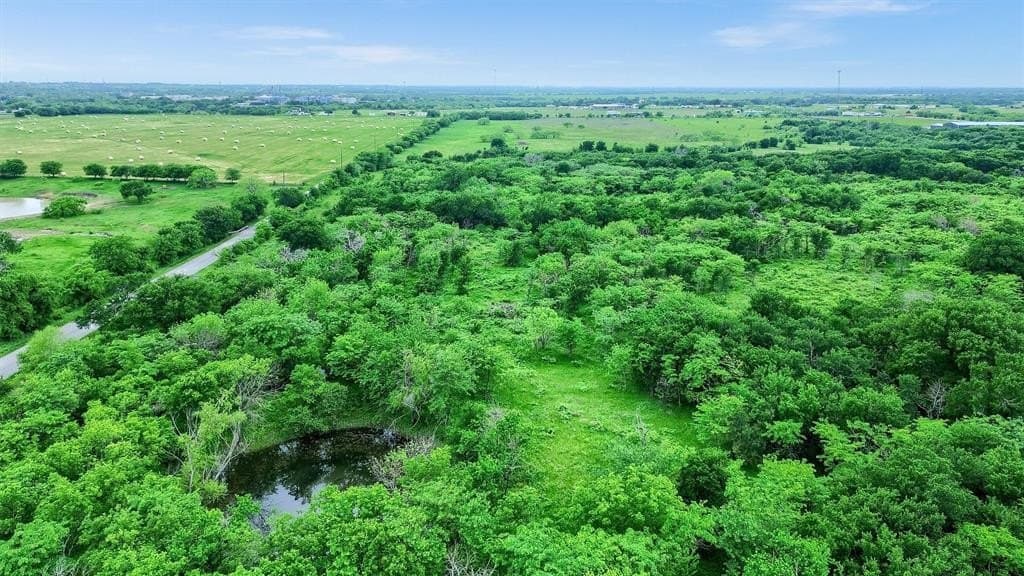 51.23 acres in Grayson County featured view