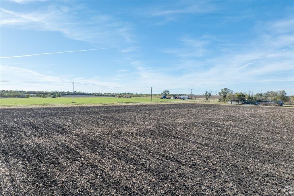 40 acres in Hill County gallery image 4