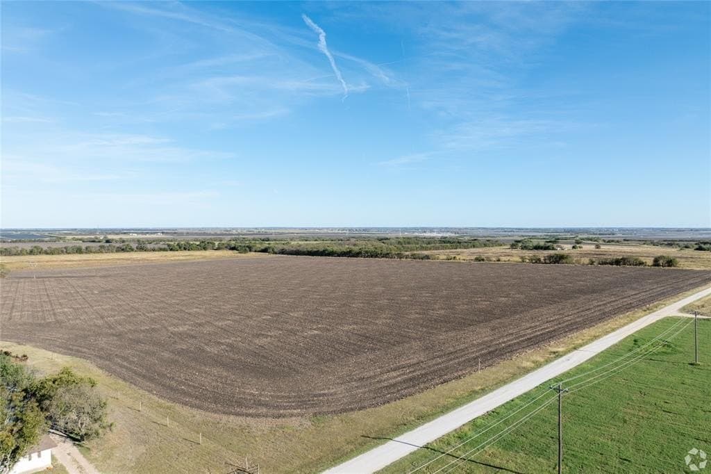 40 acres in Hill County gallery image 3