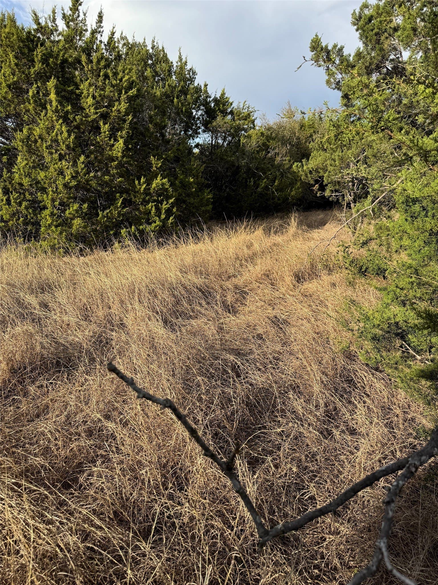 0.26 acres in Hill County - photo 8