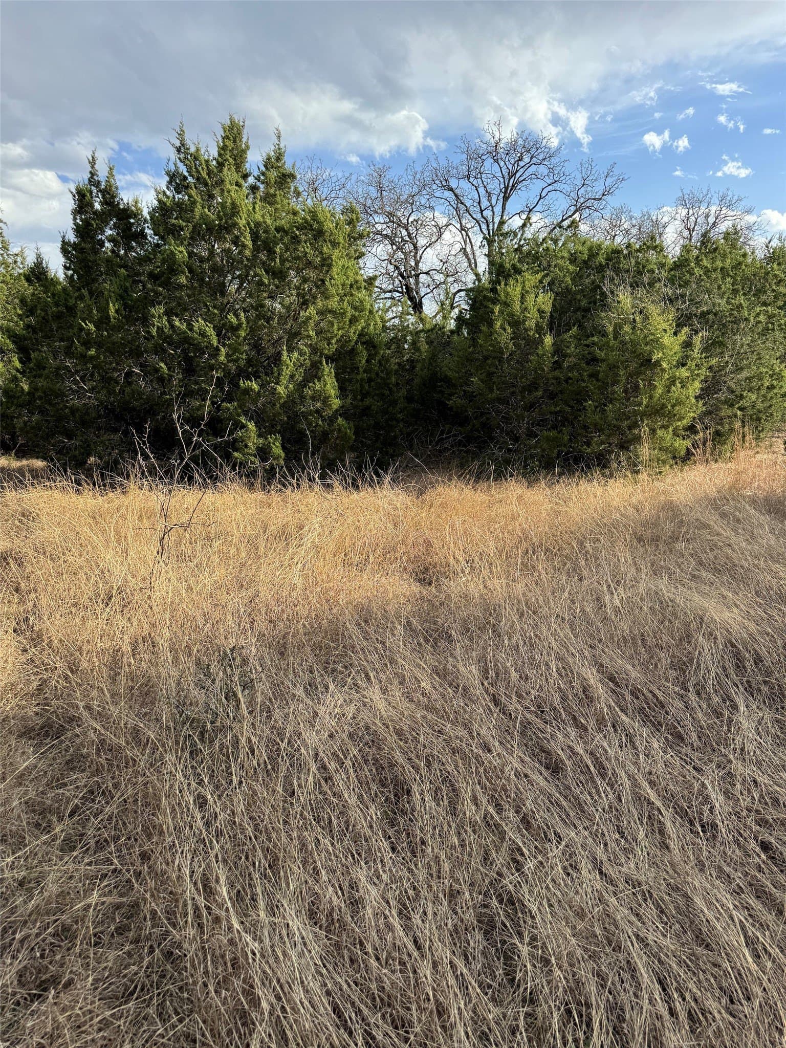 0.26 acres in Hill County - photo 6