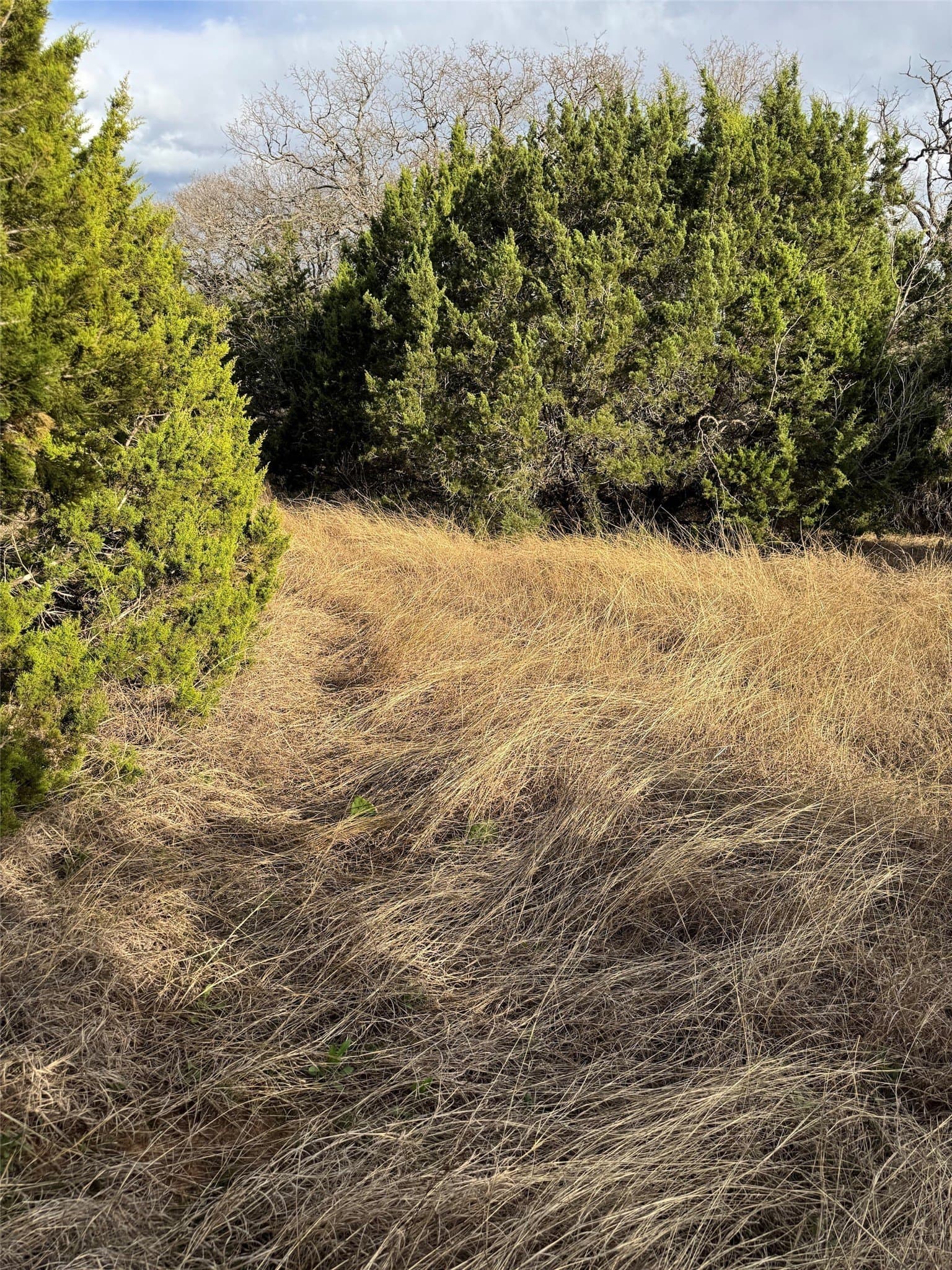 0.26 acres in Hill County gallery image 4