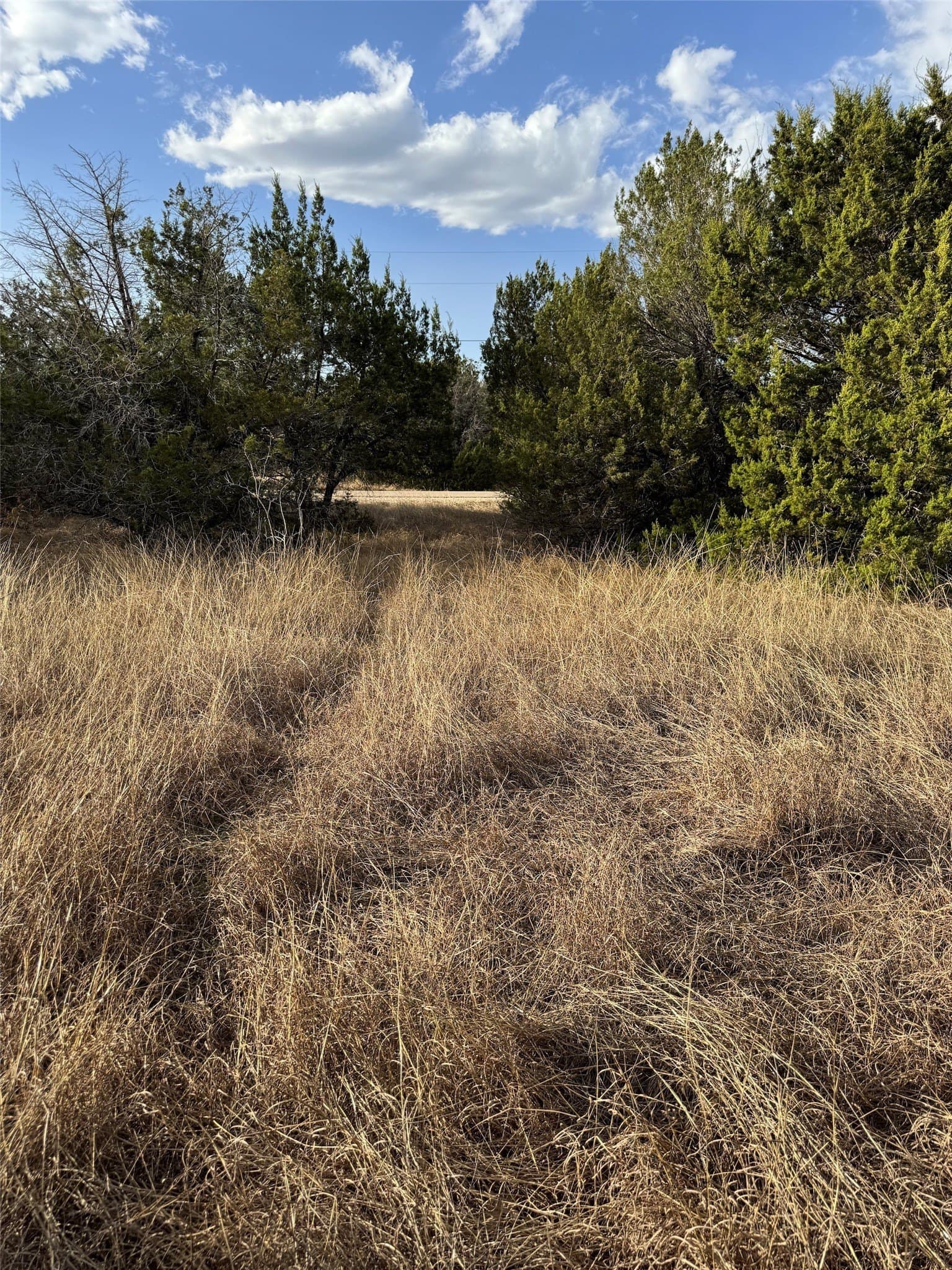 0.26 acres in Hill County - photo 9