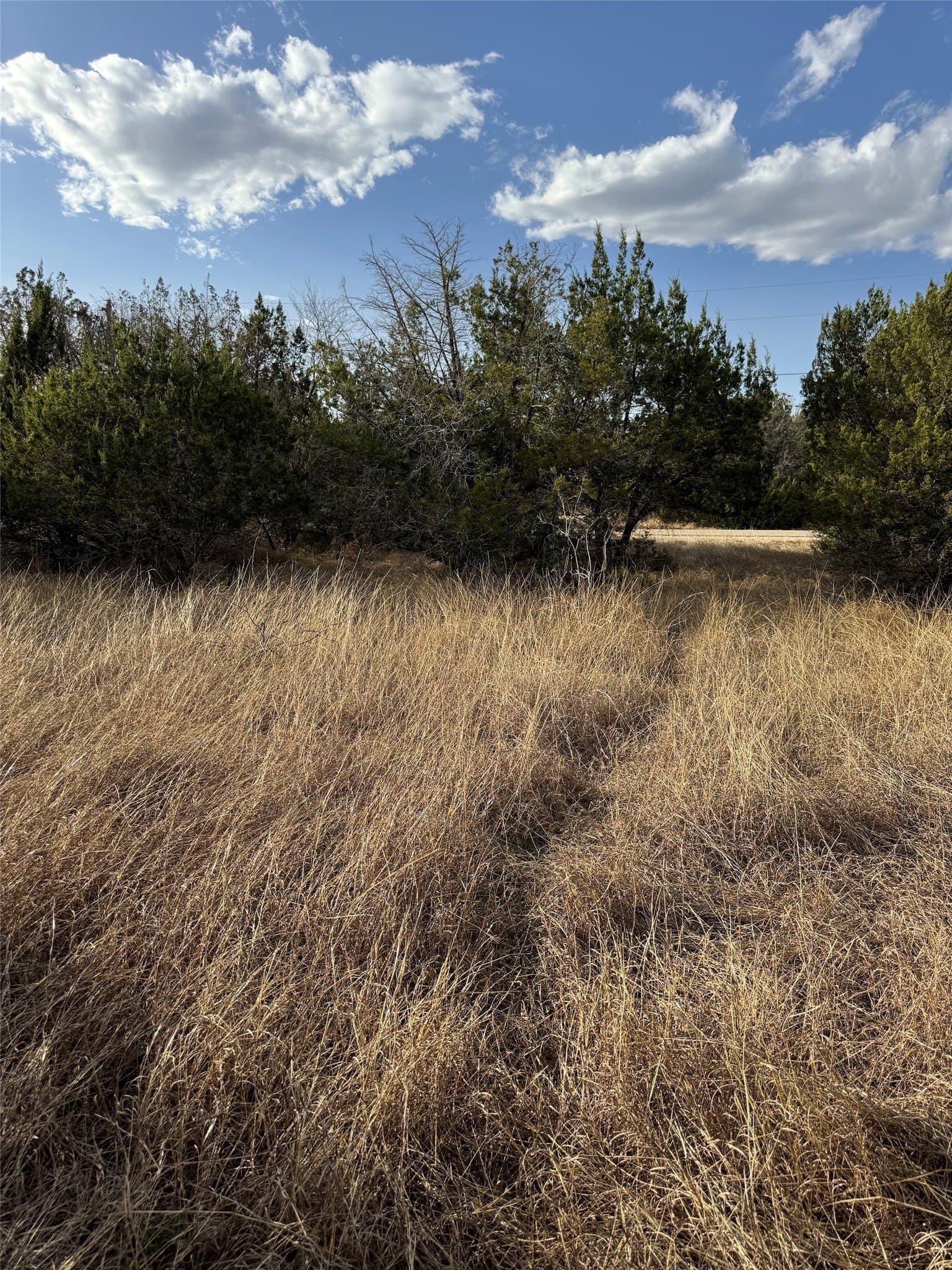 0.26 acres in Hill County - photo 10