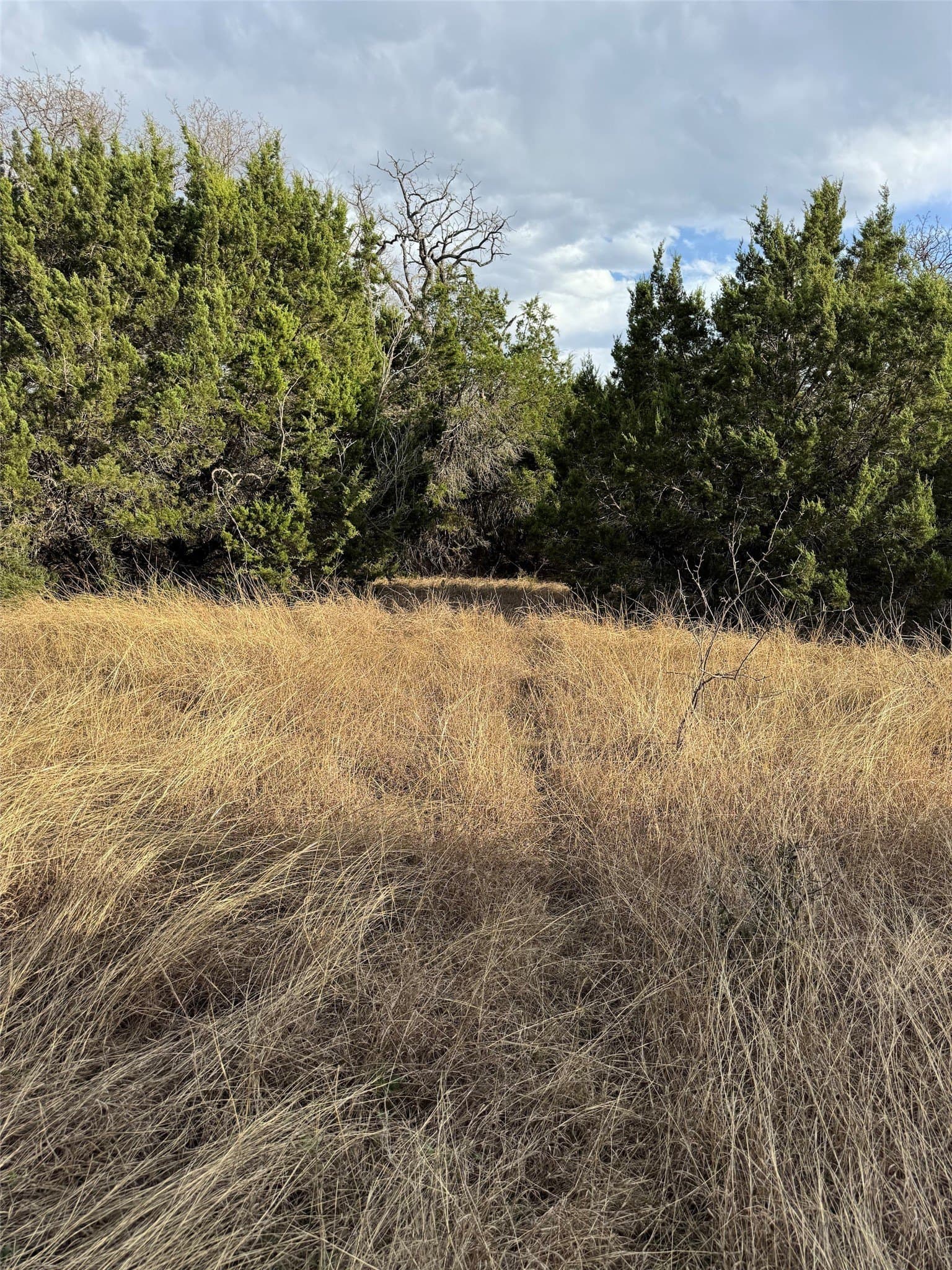 0.26 acres in Hill County featured view