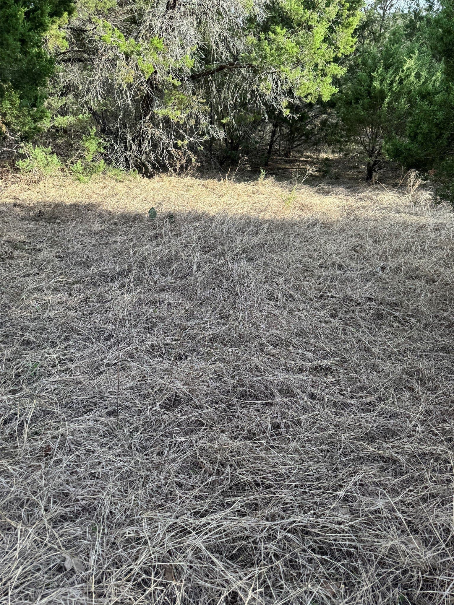 0.26 acres in Hill County - photo 7