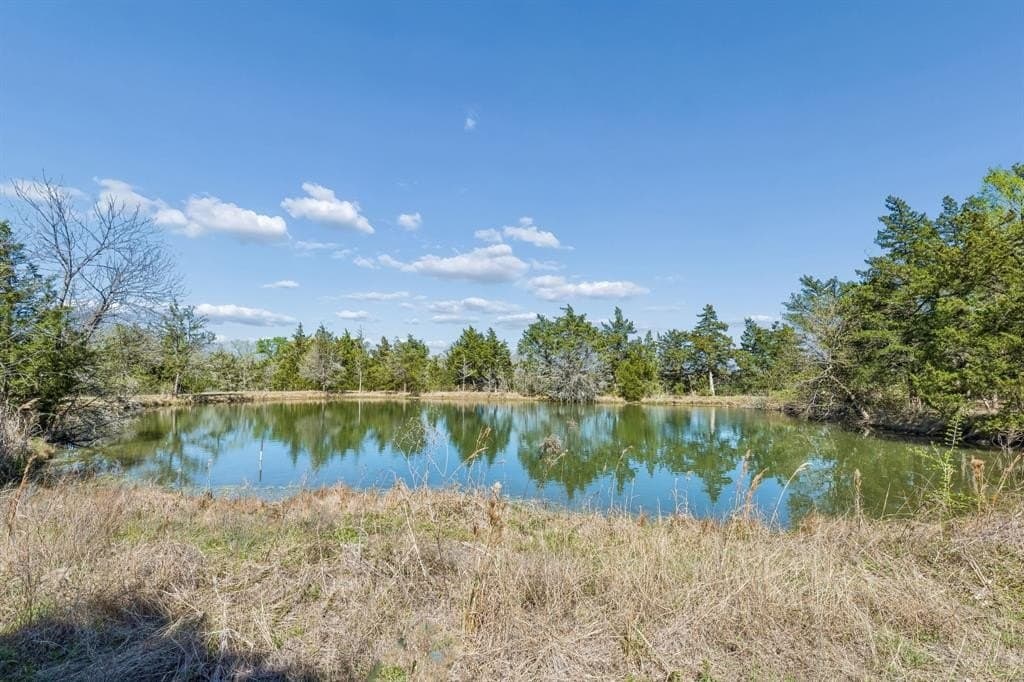 16.06 acres in Grimes County featured view