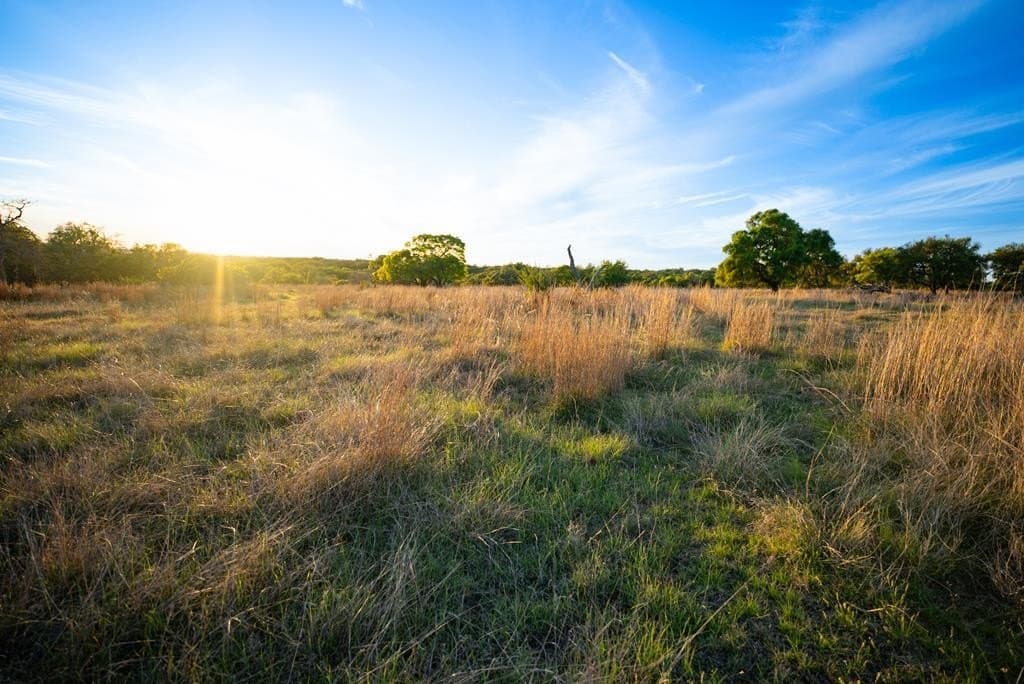 55.16 acres in Gillespie County - photo 61