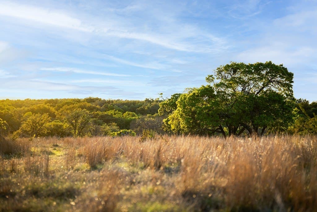 55.16 acres in Gillespie County - photo 42