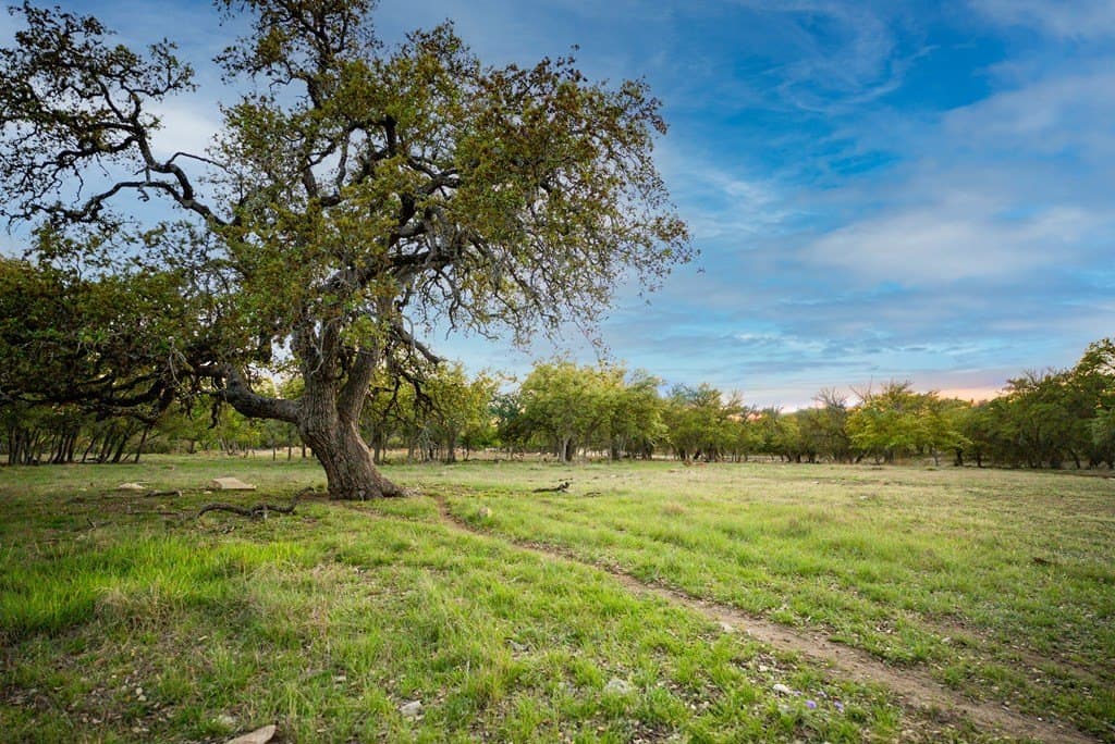 55.16 acres in Gillespie County - photo 50