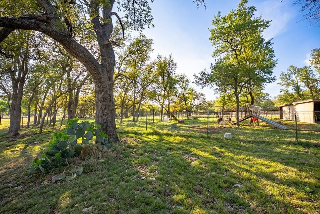 55.16 acres in Gillespie County gallery image 4