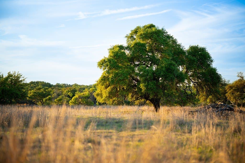 55.16 acres in Gillespie County - photo 38