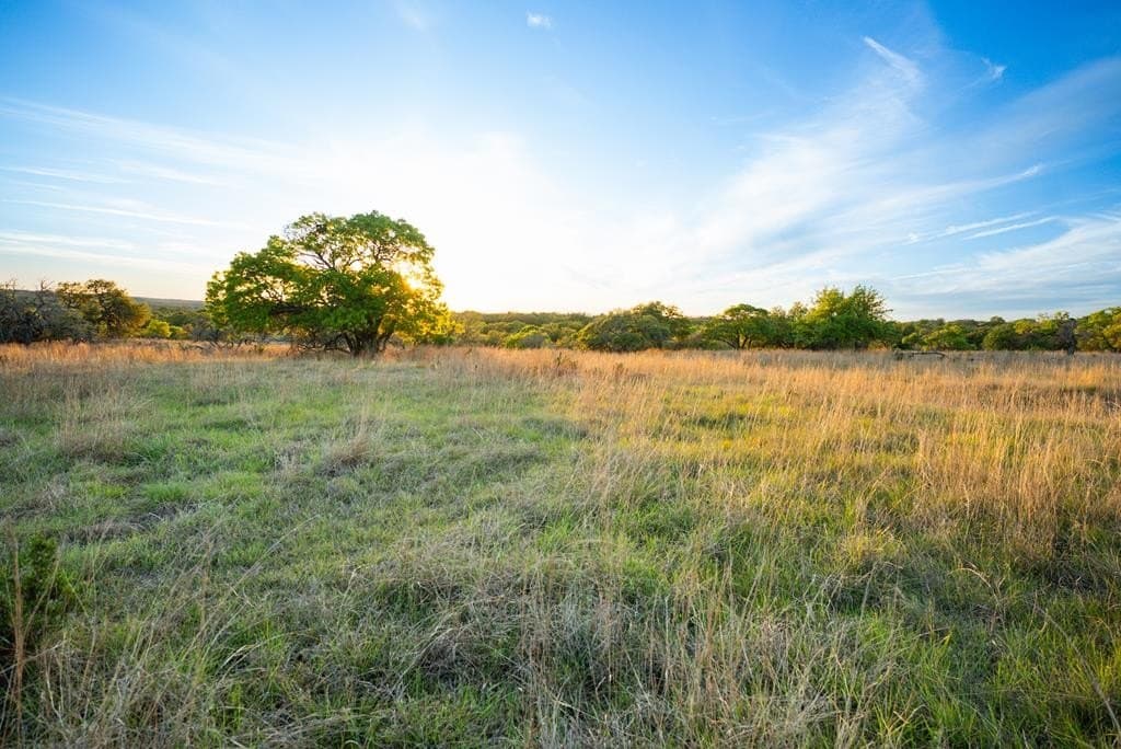 55.16 acres in Gillespie County - photo 58