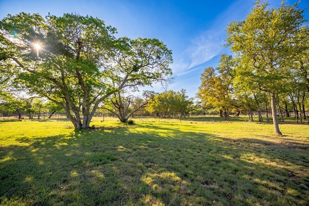 55.16 acres in Gillespie County featured view
