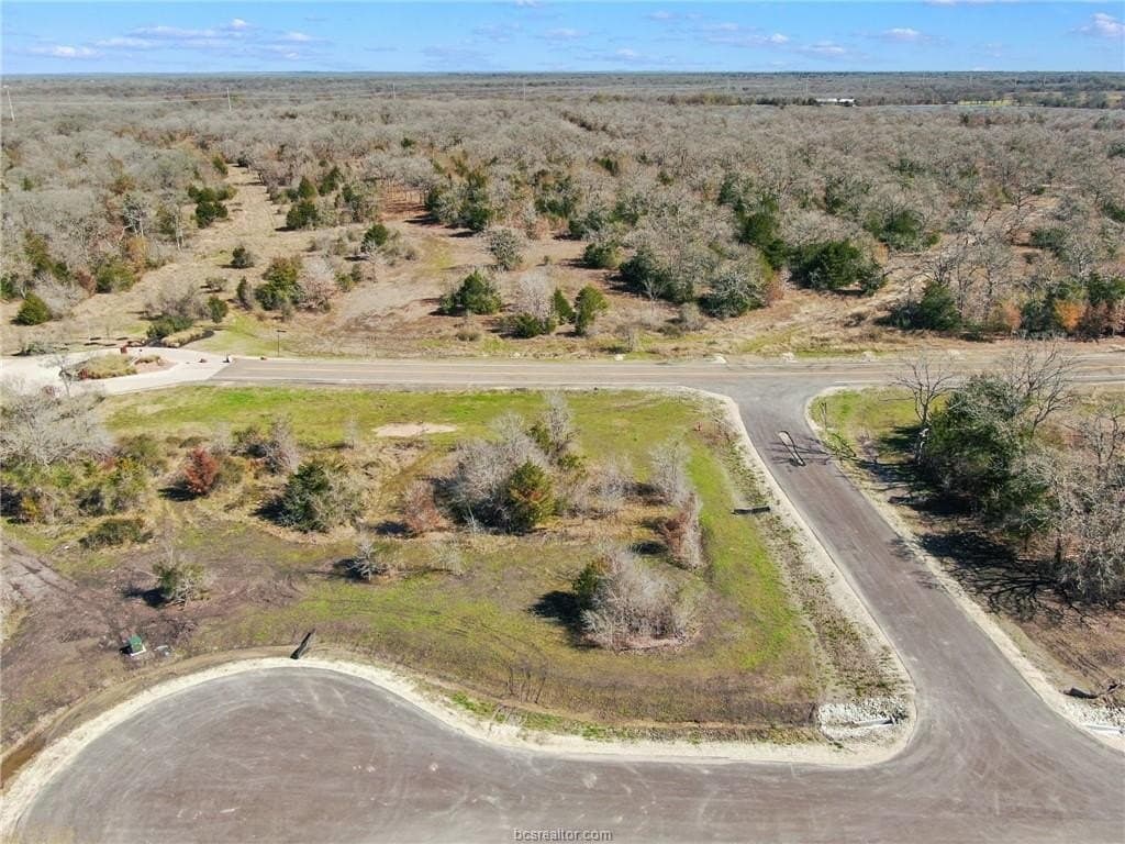 1.01 acres in Brazos County gallery image 2