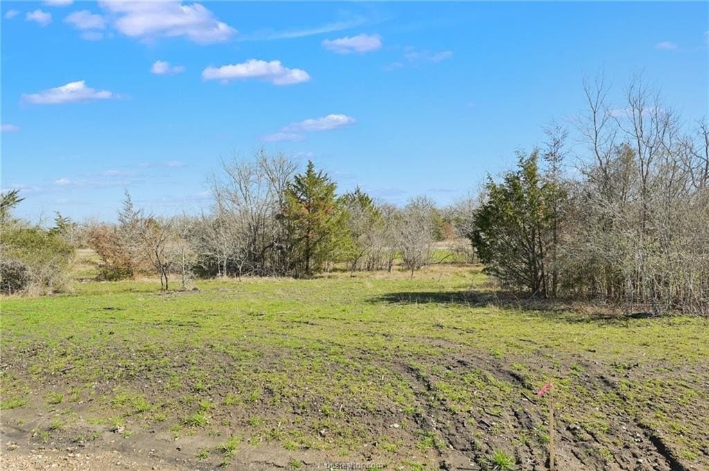1.01 acres in Brazos County gallery image 4