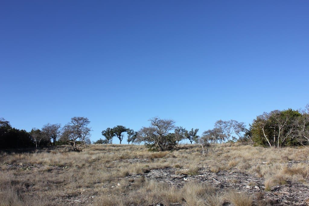 60 acres in Texas County - photo 2