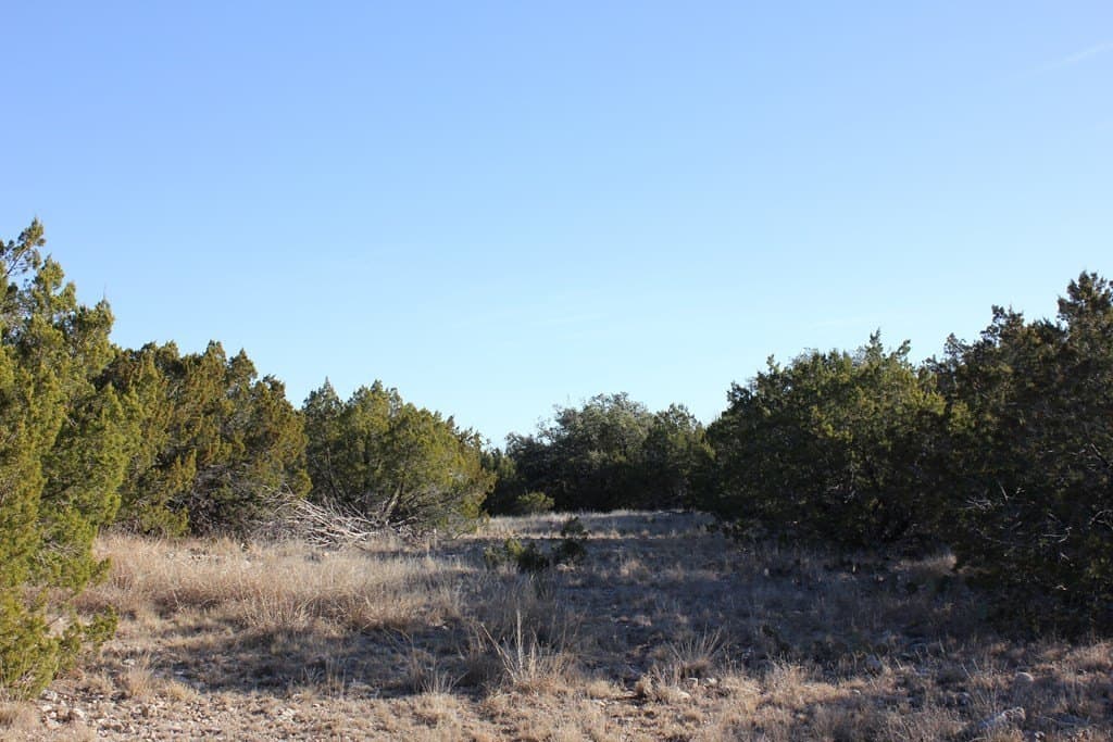 60 acres in Texas County - photo 5