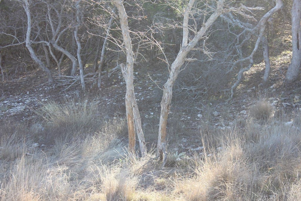 60 acres in Texas County - photo 14