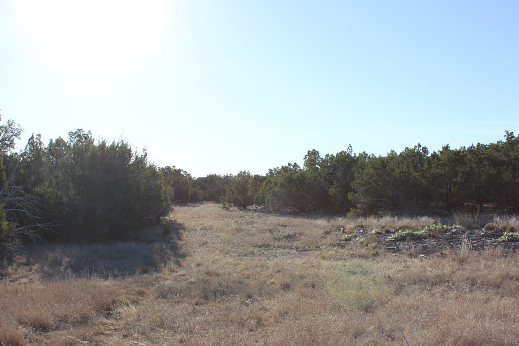 60 acres in Texas County - photo 3
