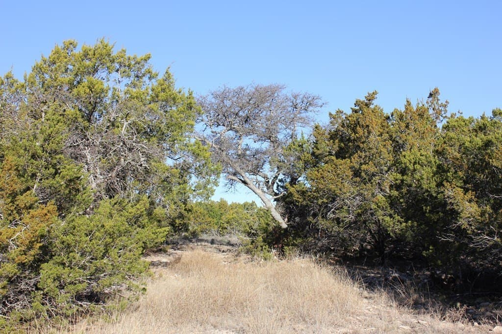 60 acres in Texas County - photo 6