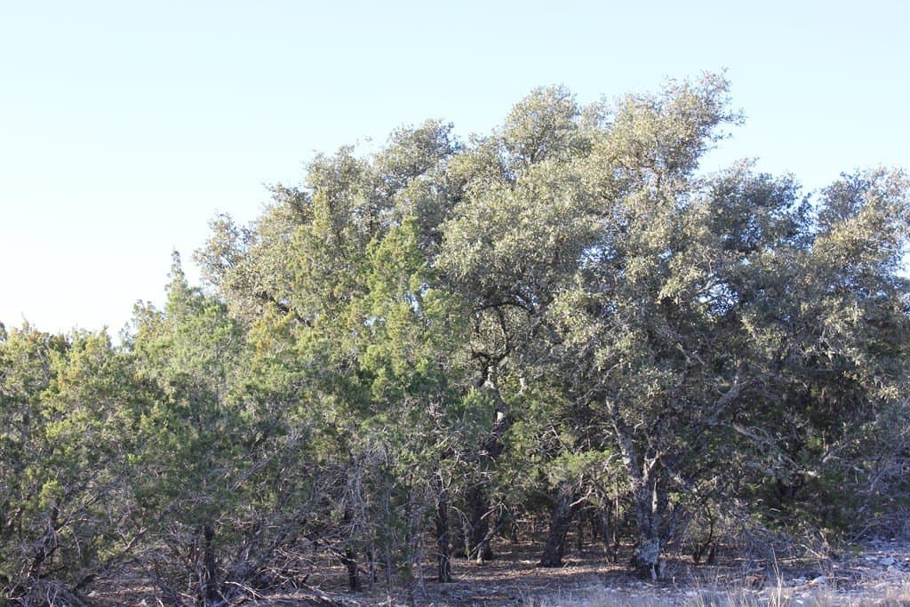 60 acres in Texas County - photo 12