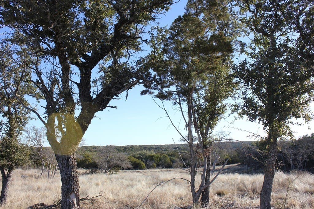 60 acres in Texas County - photo 17