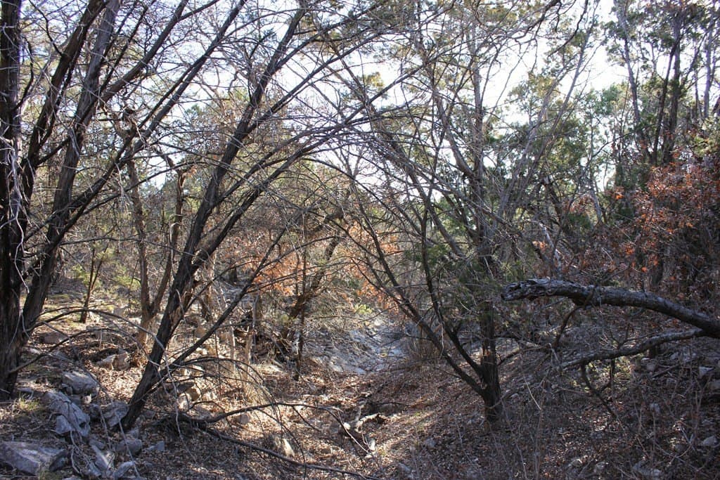 60 acres in Texas County - photo 8