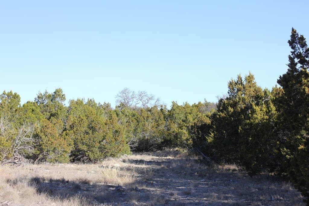 60 acres in Texas County - photo 4