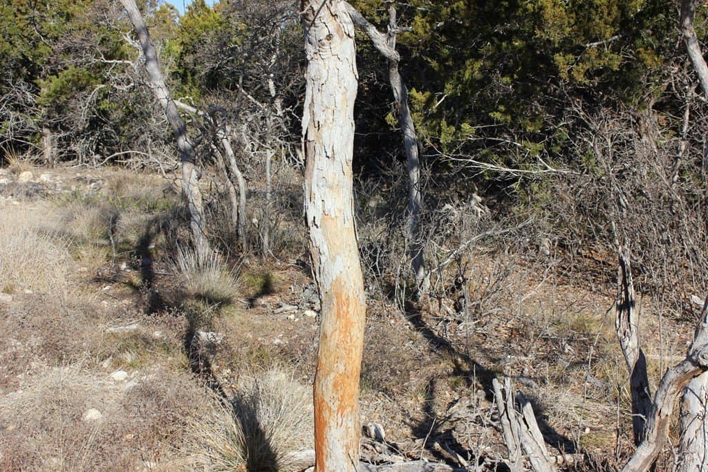 60 acres in Texas County - photo 13